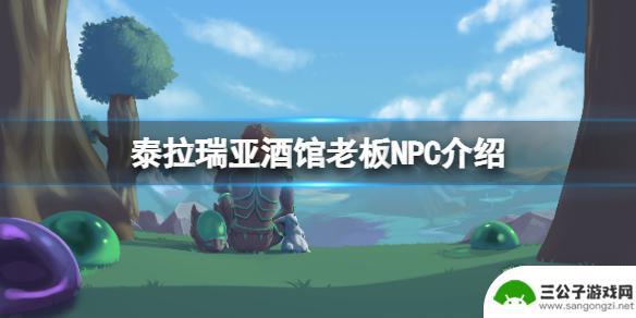 泰拉瑞亚酒吧老板喜欢住哪 怎样让酒馆老板NPC在《泰拉瑞亚》中入住