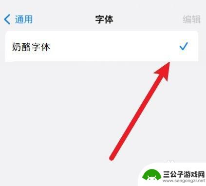 手机奶酪字体如何弄好 苹果手机奶酪字体怎么调整