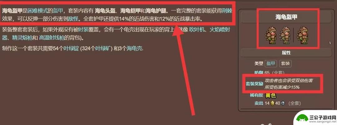 泰拉瑞亚龟甲套什么用 泰拉瑞亚乌龟套效果怎么样