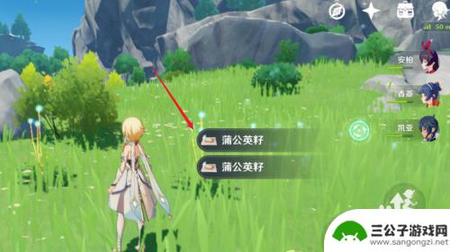 原神蒲公英怎么弄 原神蒲公英采集奖励