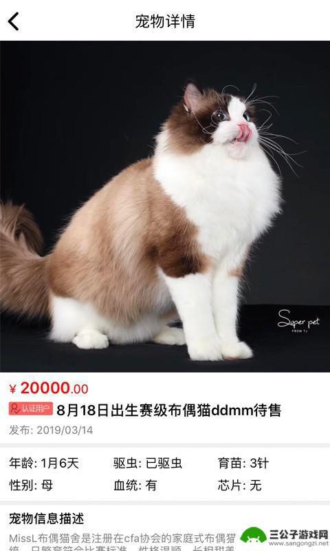 猫行狗市安卓最新版