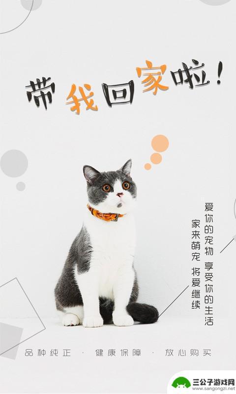 猫行狗市安卓最新版