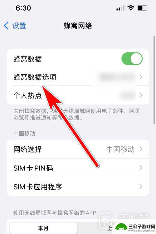 苹果手机网络切换在哪里 iphone13如何在设置中切换5g和4g网络