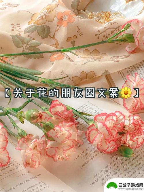 抖音花草文案短句(抖音一发就火的文案)