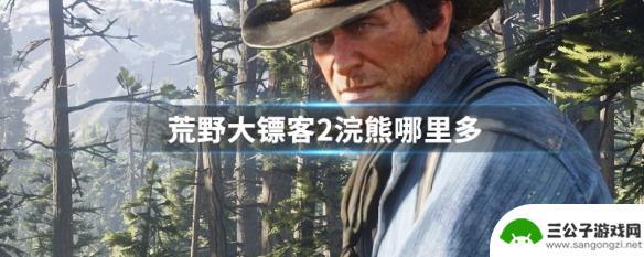 荒野大镖客2浣熊猫 荒野大镖客2浣熊养殖方法