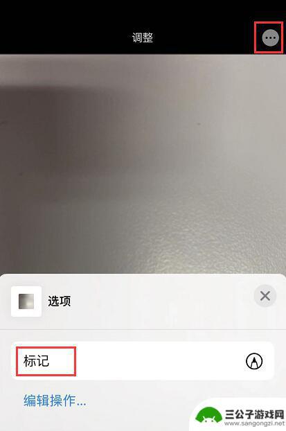 苹果手机如何给相片批字 iPhone 照片编辑功能标记文字