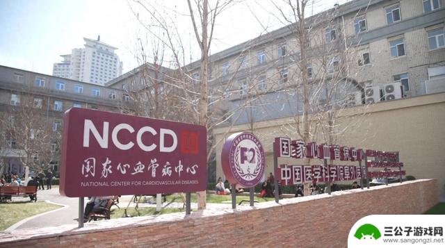 手机的责任与守护：一部全天候待机的设备