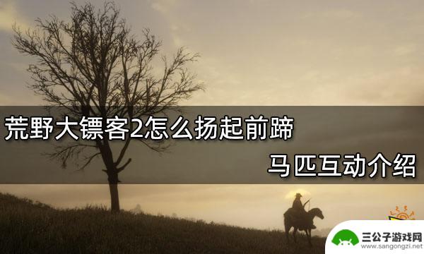 荒野大镖客pc怎么让马扬蹄 荒野大镖客2马匹扬起前蹄步骤