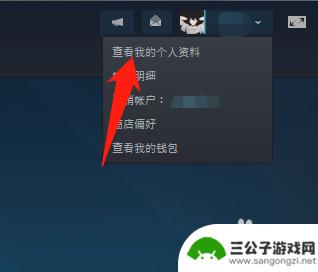 steam如何玩游戏不被好友看到 如何设置Steam好友无法看到我在玩什么游戏