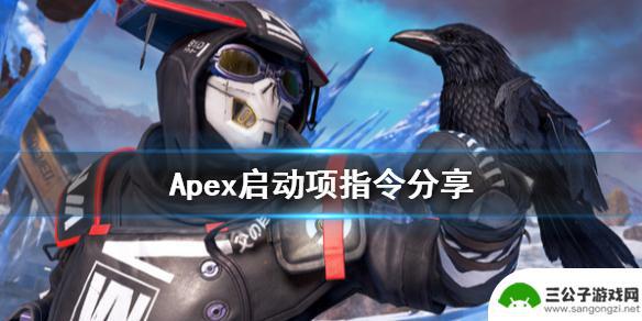 如何steam启动项命令语句 《Apex英雄》启动项指令设置方法