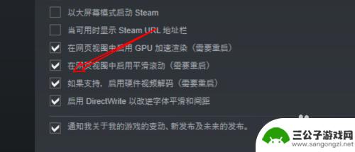 steam 解码 Steam如何启用硬件视频解码设置