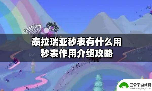 pc泰拉瑞亚秒表 泰拉瑞亚秒表有什么作用