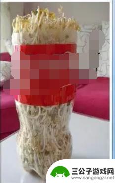 手机如何种豆芽 在家种豆芽的步骤和方法
