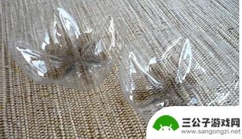手机如何种豆芽 在家种豆芽的步骤和方法