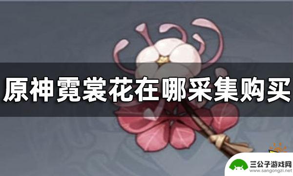 原神哪卖霓裳花 霓裳花在哪采集