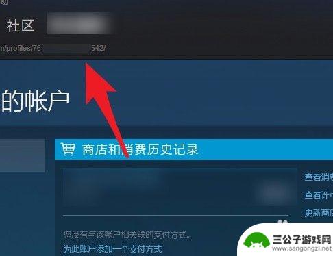 steam账号17位id不一样 Steam账号的17位数字ID怎么找