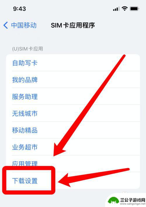 苹果手机的手机卡在哪里设置 苹果手机sim卡设置教程