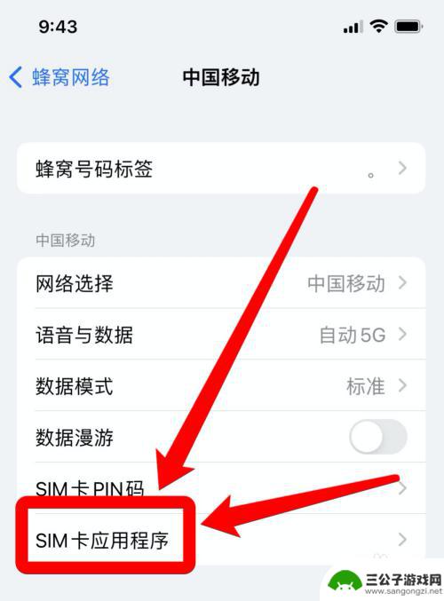苹果手机的手机卡在哪里设置 苹果手机sim卡设置教程