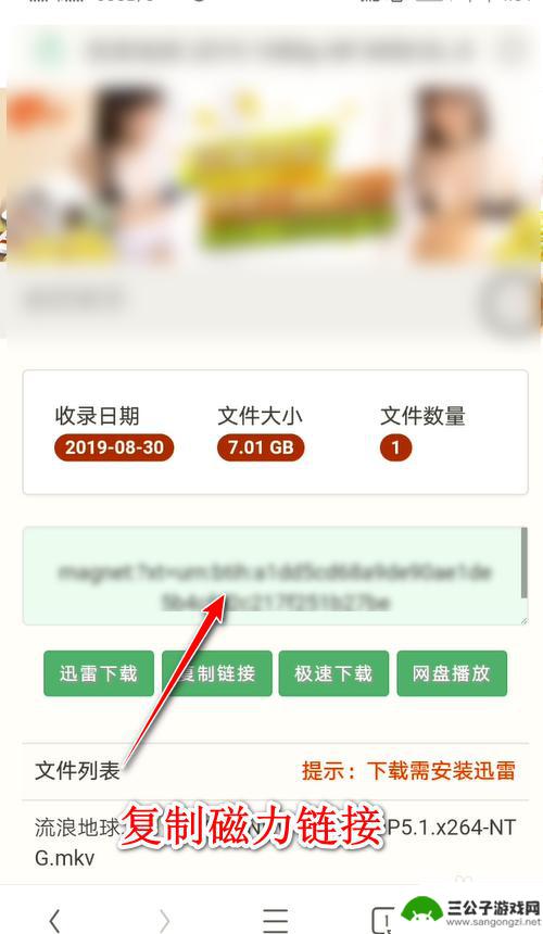 手机怎么看磁链接 如何在手机上使用磁力链接下载资源