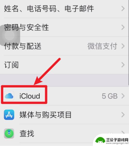 苹果手机安全码怎么查 iPhone安全码不起作用