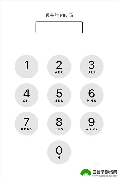 手机怎么设置pnk iPhone手机如何设置PIN码