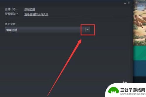 steam直播怎么录像 Steam如何开直播教程