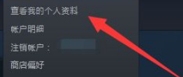 手机steam设置资料公开 手机Steam隐私设置公开方法