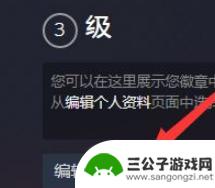 手机steam设置资料公开 手机Steam隐私设置公开方法