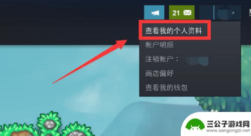 steam隐藏最新动态 如何在Steam上隐藏个人动态