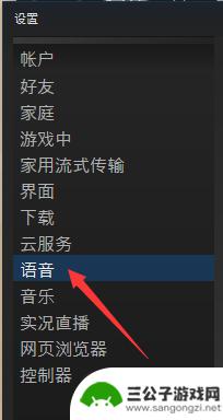 steam怎么说话 如何确保Steam游戏中麦克风正常工作