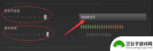 steam怎么说话 如何确保Steam游戏中麦克风正常工作