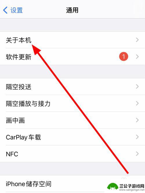 苹果怎么改手机昵称 苹果iPhone 12修改手机名称教程