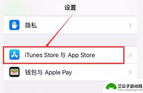 苹果手机停止自动更新app iPhone 如何关闭App 自动更新设置