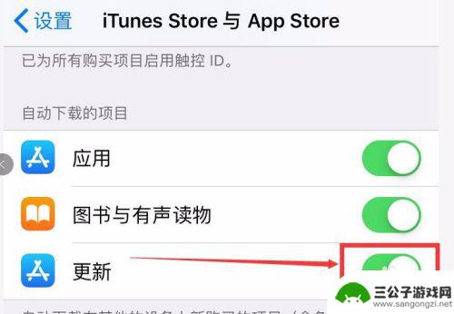 苹果手机停止自动更新app iPhone 如何关闭App 自动更新设置