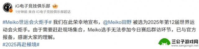 游戏少年也能成为火炬手？Meiko入选电竞圈引起轰动