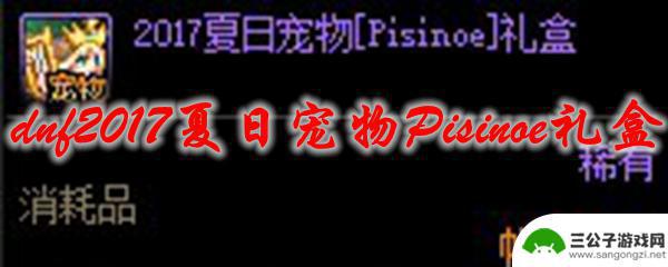 dnf宠物pisinoe DNF 2017夏日宠物Pisinoe礼盒开出什么稀有宠物