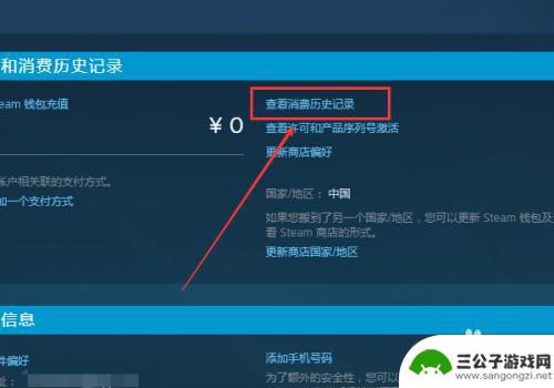 steam对账单 怎样查看Steam平台的消费记录