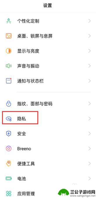 真我手机怎么设置权限隐私 如何在真我手机上开启隐私替身