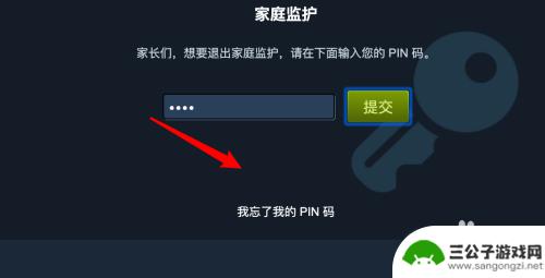 steam pn码 Steam PIN码忘记了怎么办