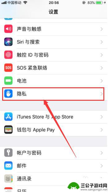 手机隐私设置怎么设置 苹果手机如何设置隐私与安全