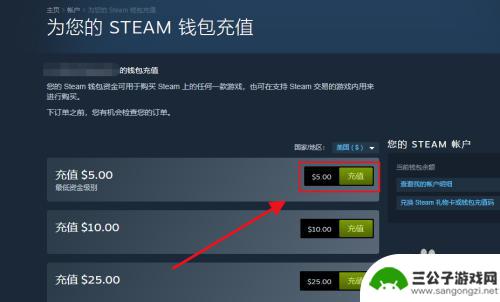 steam怎么充5美元 5美元怎么在Steam上充值