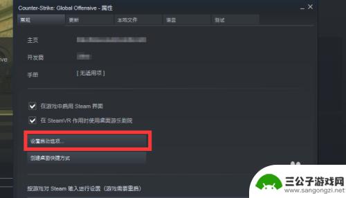 steam怎么设置国际版 在CSGO中如何切换到国际服