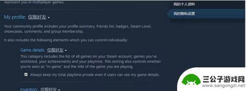 steam怎么不显示正在玩的游戏 如何在Steam上隐藏游戏状态