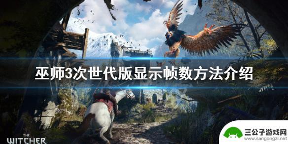 steam巫师3怎么看fps 巫师3次世代版如何查看游戏帧数