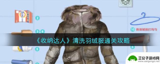 收纳达人怎么搜索游戏 《收纳达人》清洗羽绒服注意事项