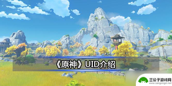 原神怎么搜索好友uid 《原神》UID绑定